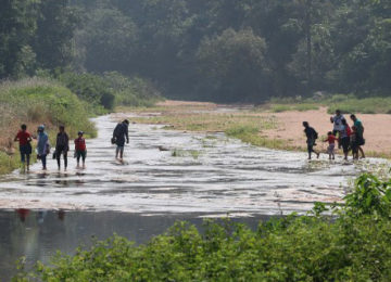 Nature Camp